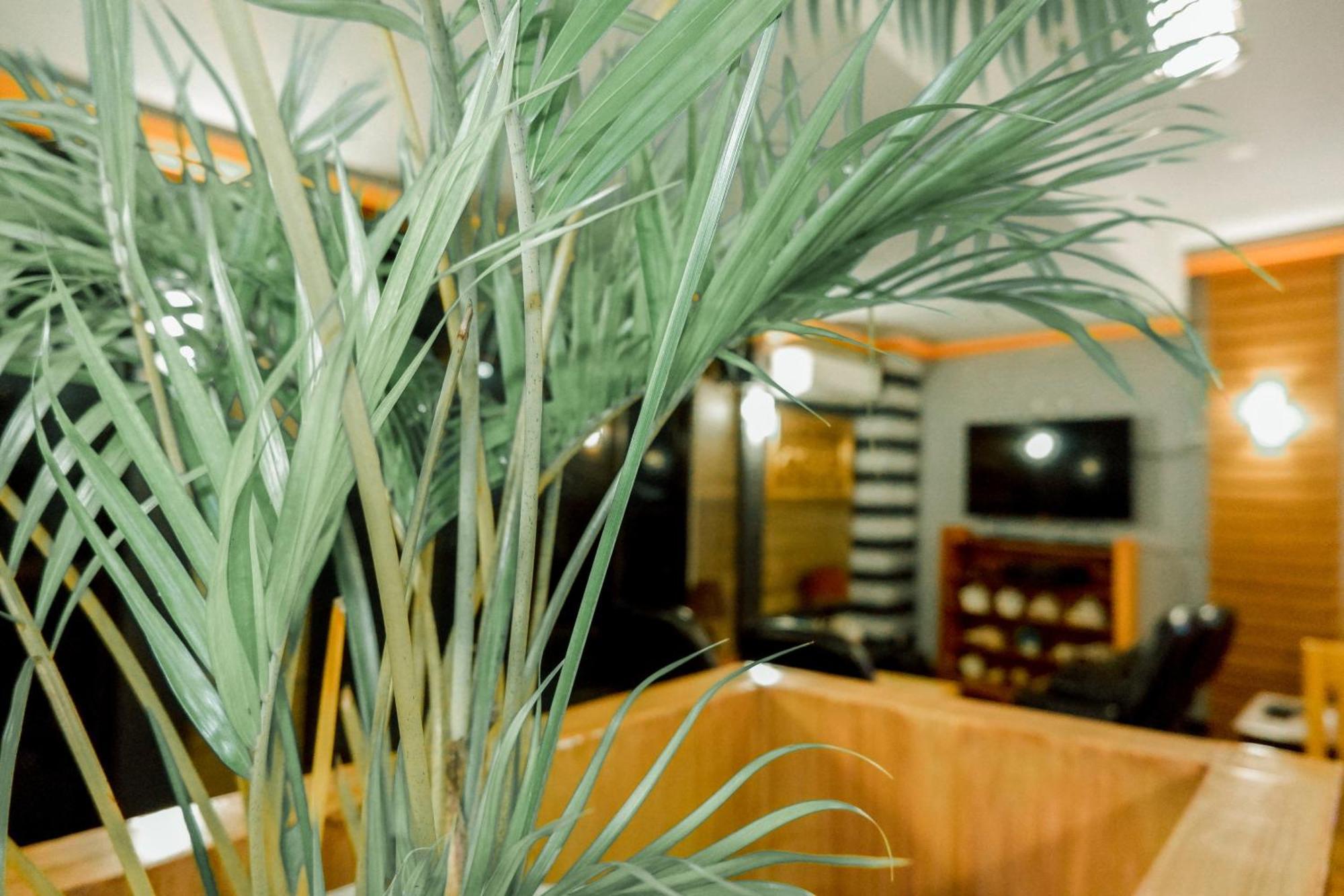 Casi Verde Guest House Панглао Екстериор снимка