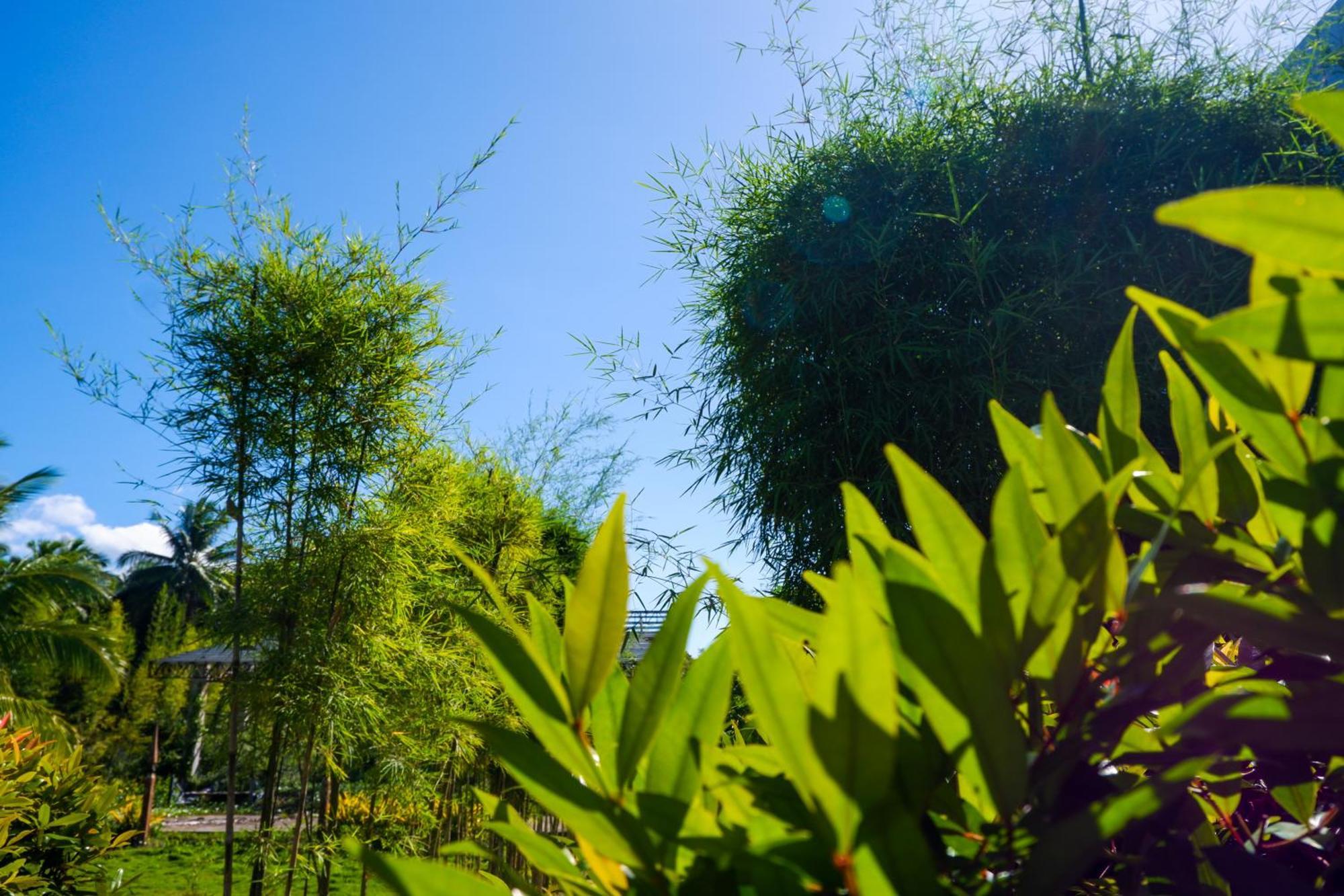 Casi Verde Guest House Панглао Екстериор снимка